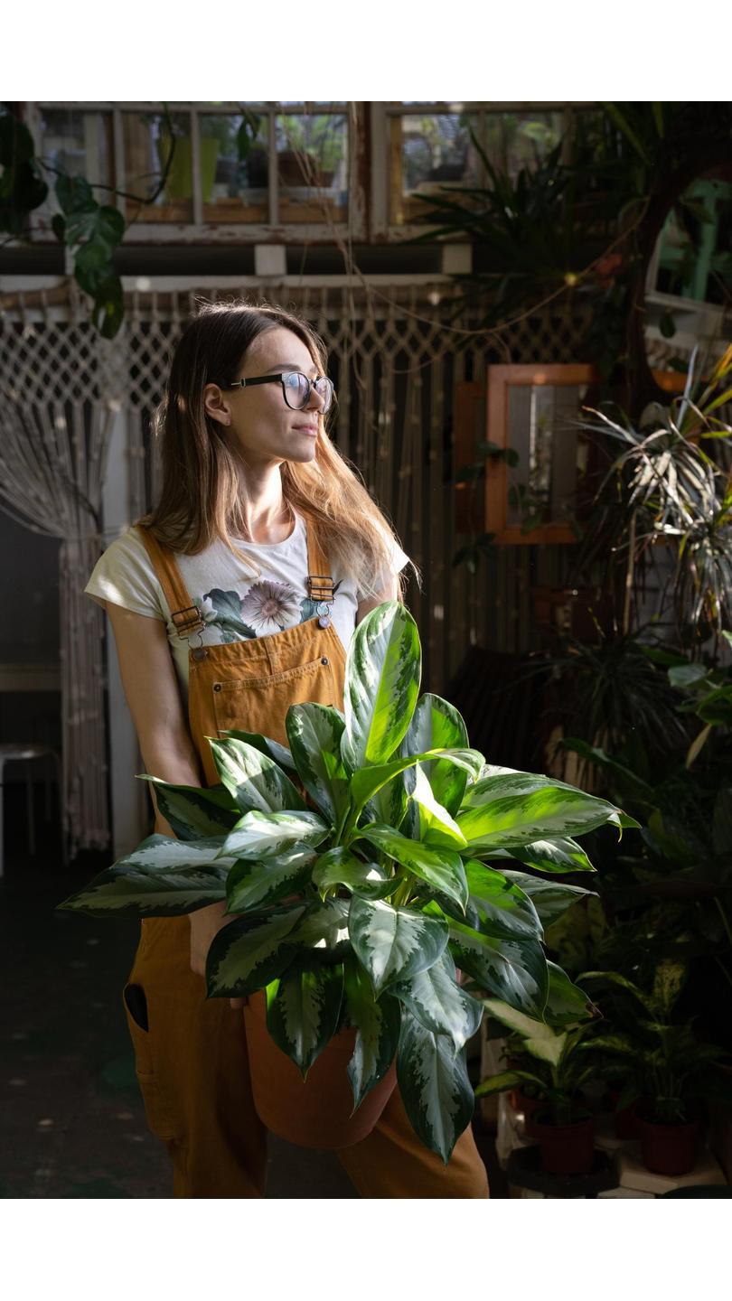 Liis Kallaste, Personal Development Specialist